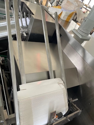 Farmaceutyczne Tabletki Kapsułki Softgel Blister Horizontal Automatic Cartoning Machine